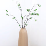 Twig Branch, L