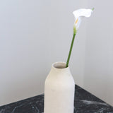 Calla Lily, S White
