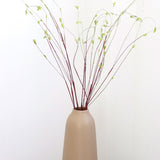 Curly Willow Branch