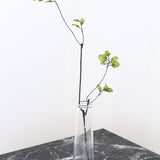 Twig Branch, S