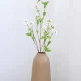 Philadelphus Branch
