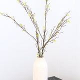 Willow Branch