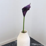 Calla Lily, S Purple