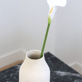 Calla Lily, S White