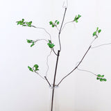 Twig Branch, L