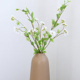 Philadelphus Branch