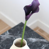 Calla Lily, S Purple