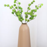 Thistle Ball Branch, Green