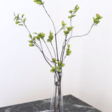 Twig Branch, S