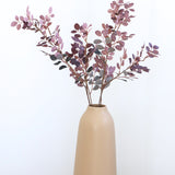 Polyanthemos Purple