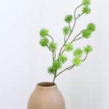 Thistle Ball Branch, Green