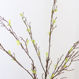 Willow Branch