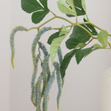 Amaranto colgante, azul