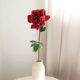 Lux Peony, Red