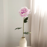 Lux Peony, Purple Gradient