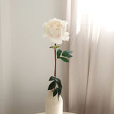 Lux Peony, Subtle Blush
