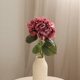 Hydrangeas L, Burgundy Red