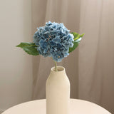 Hydrangeas S, Dusty Blue