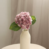 Hydrangeas S, Light Purple