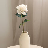 Rose, White