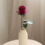 Rose, Dark Red