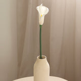 Calla Lily, White