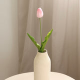 Tulip, Soft Pink