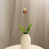Tulip, Coffee/Brown