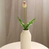 Tulip, Green
