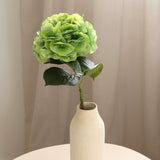 Hydrangeas L, Green