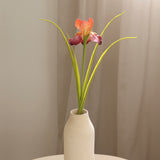 Irish Flower