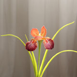 Irish Flower