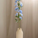 Delphinium, Blue