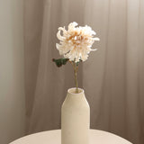Silk Chrysanthemum, Cream