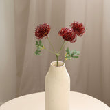 Protea Pincushion Flower