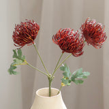 Protea Pincushion Flower