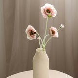 Three Headed Poppy Flower, Blush