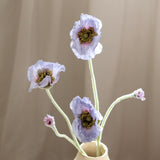 Three Headed Poppy Flower, Blue
