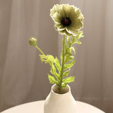 Poppy Flower, Green