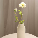 Poppy Flower, White