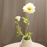 Poppy Flower, White
