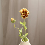 Poppy Flower, Brown