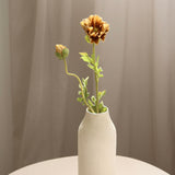 Poppy Flower, Brown