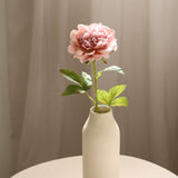 Peony L