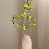 Fortune Fruit Branch, White/Green