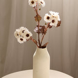 Bronze Fennel
