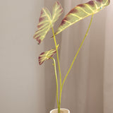 Three Headed Faro Leaves, Green