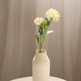 Hydrangeas Berry Branch, White