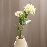 Hydrangeas Berry Branch, White