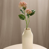 Hydrangeas Berry Branch, Blush